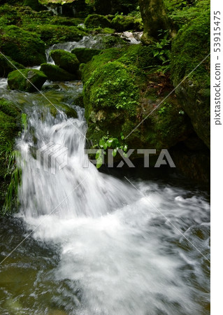 Mitakeyama岩石庭院山小河 53915475