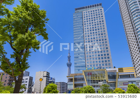 Landscape of Kinshi Park 53915680