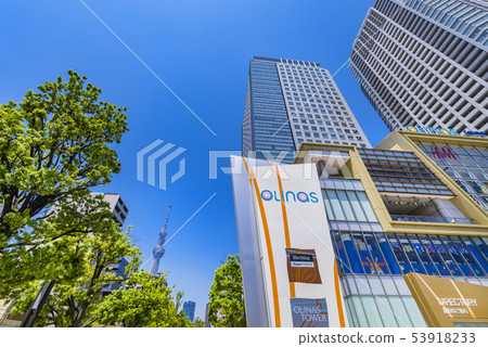 Landscape of Olinas Kinshicho 53918233