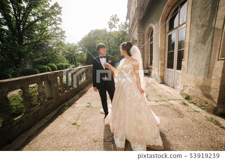Bride leads groom in the castle. Happy newlyweds walking Bride leads groom in the castle. Happy newlyweds walking 53919239