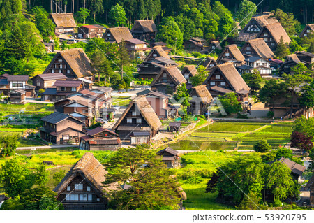 "Gifu Prefecture" Shirakawa-go whole view, early summer 53920795