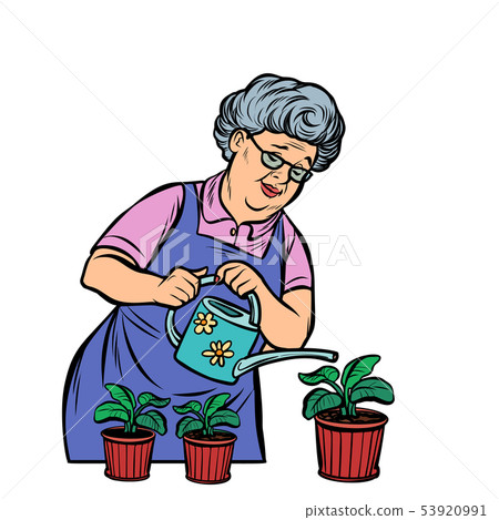 Old woman watering potted flowers Old woman watering potted flowers 53920991