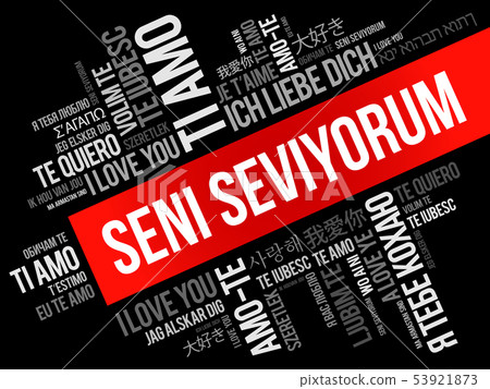 Seni seviyorum (I Love You in Turkish) 53921873
