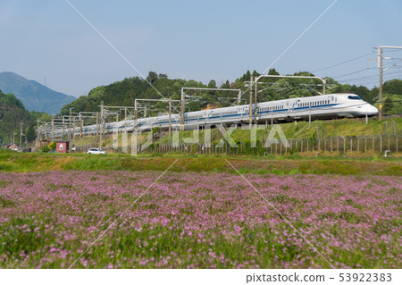 Tokaido Shinkansen N700 series and Renge field 53922383