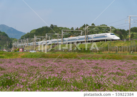 Tokaido Shinkansen N 700 series and lotus flower fields Tokaido Shinkansen N 700 series and lotus flower fields 53922384