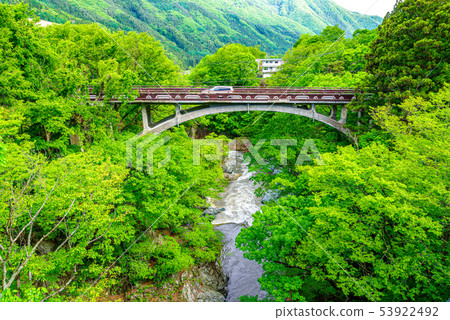 新鮮的綠色卡塔品川[群馬縣吹瀑布] 53922492