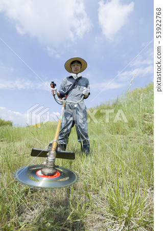 Weeding image, weeding image 53922768