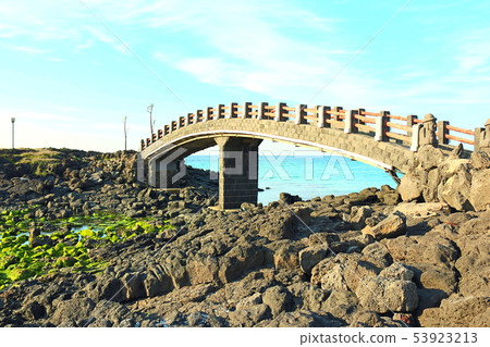 Hamduk Beach, Seoungbong, Sea, Wildflowers, Beaches, Hamduk Beach, Seoungbong, Sea, Wildflowers, Beaches, 53923213