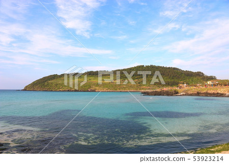 Hamduk Beach, Seoungbong, Sea, Wildflowers, Beaches, 53923214