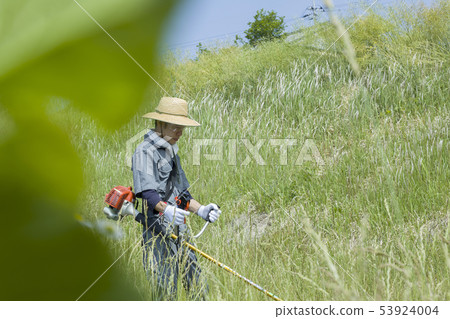 Weeding image, weeding image 53924004