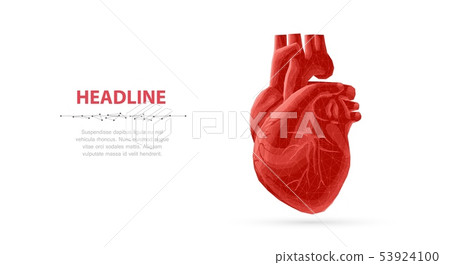 Heart. Abstract 3d vector human heart isolated on blue 53924100