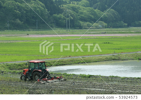 Rural landscape with tractor planting rice Rural landscape with tractor planting rice 53924573