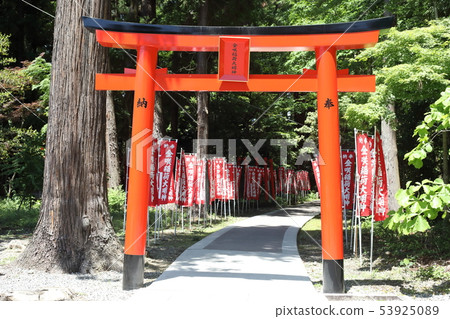 Taga Taisha 53925089