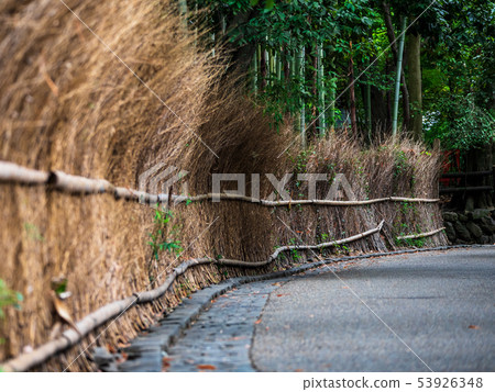 Kyoto Sagano Bamboo Forest Road Kyoto Sagano Bamboo Forest Road 53926348
