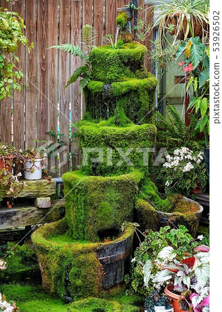 Greenhouse cultivation 53926502