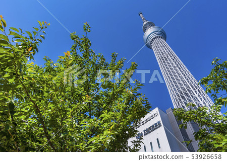 Landscape of Tokyo Skytree Town 53926658