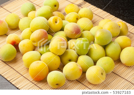 Minami Takane Minami Takane 53927183