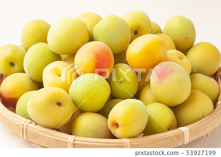 Minami Takane Minami Takane 53927199