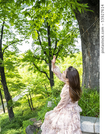 Young female model looking up holding hands under the forest trees in Namsan Park, Seoul 53927614