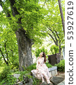 A young female model sitting under a zelkova tree in the forest of Namsan Park in Seoul 53927619