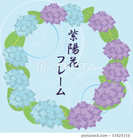 繡球花框架 插圖素材 圖庫