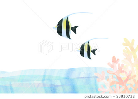 Tropical fish 53930738