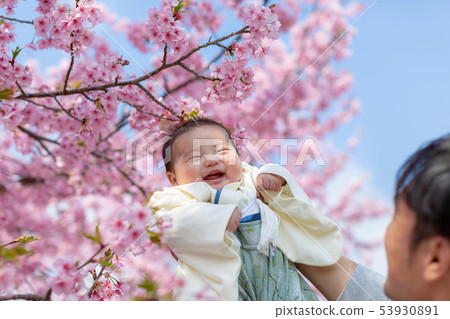 櫻花和家庭照片 53930891