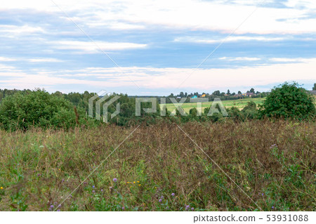 Nature landscape of purple blue and pink twilight Nature landscape of purple blue and pink twilight 53931088