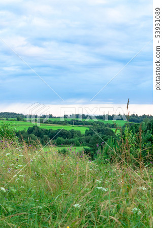 Nature landscape of purple blue and pink twilight Nature landscape of purple blue and pink twilight 53931089