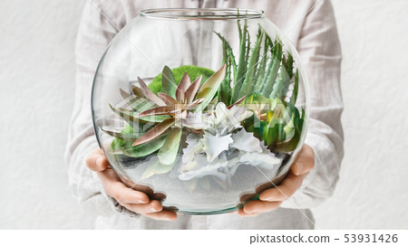 Mini home garden concept Mini home garden concept 53931426