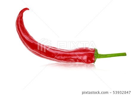 one hot red jalapeno pepper on white background one hot red jalapeno pepper on white background 53932847