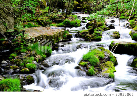 Yukawa valley of waterfall that shines in Shinshu fresh green 53933865