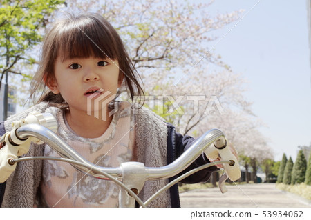 幼兒（4歲）在櫻花下騎自行車 53934062