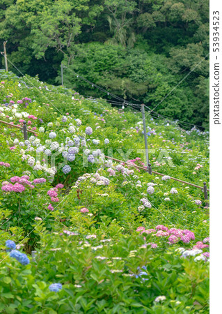 Katahara Onsen Ajisai no Sato 6179 Katahara Onsen Ajisai no Sato 6179 53934523