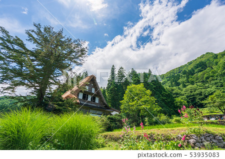 Gokayama Aikura village in early summer Gokayama Aikura village in early summer 53935083