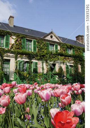 莫奈的花園 莫奈的花園 53935291