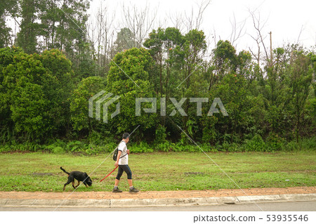 Man walking dog Man walking dog 53935546