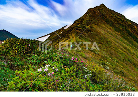 登山者和花沿Tanigawa Takeshi山脊線行走 53936038