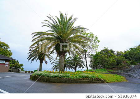Sea of Cruz Miyazaki Prefecture Sea of Cruz Miyazaki Prefecture 53936374