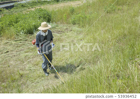 Weeding image, weeding image Weeding image, weeding image 53936452