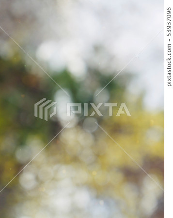 Abstract forest bokeh background, stray focus 53937096