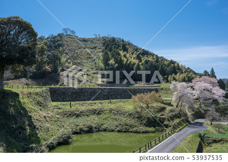 Yamashiro Tsukiyama Tomita Castle Spring 53937535