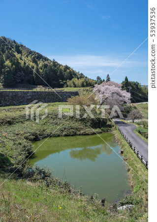 Yamashiro Tsukiyama Tomita Castle Spring Yamashiro Tsukiyama Tomita Castle Spring 53937536