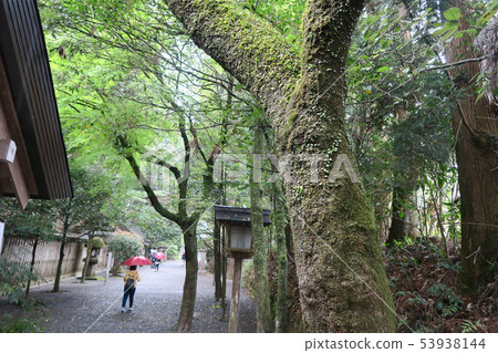 Amiwato Shrine Miyazaki Prefecture 53938144