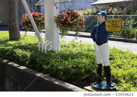 Chukyo Racecourse Flower Road Chukyo Racecourse Flower Road 53939622
