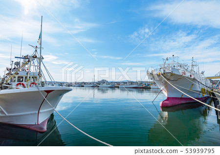 [青森縣八戶市]在八戶港的魷魚漁船 53939795