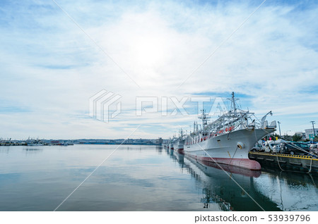 [Hachinohe City, Aomori Prefecture] Squid fishing boat in Hachinohe Port 53939796