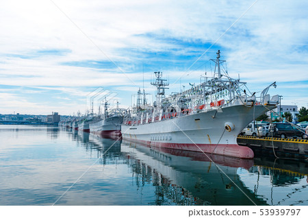 [青森縣八戶市]在八戶港的魷魚漁船 53939797