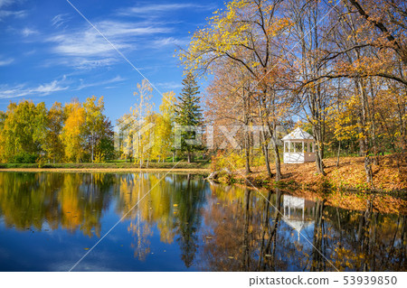 Sunny autumn in the park over lake Sunny autumn in the park over lake 53939850