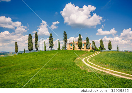 Tuscany spring landscape Tuscany spring landscape 53939855